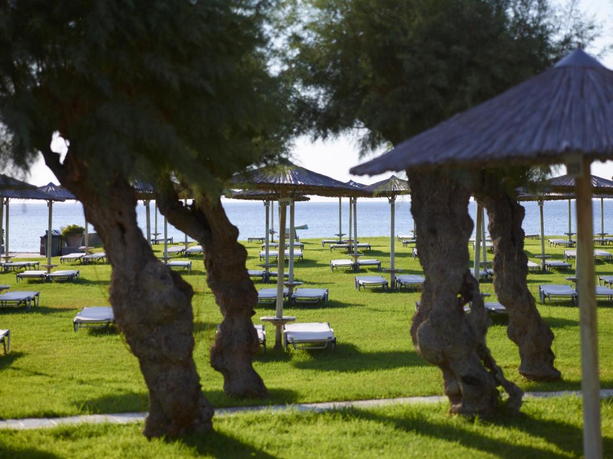Apollo Beach Faliraki Eksteriør billede